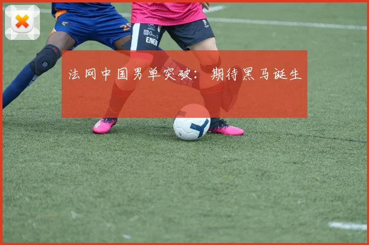 法网中国男单突破：期待黑马诞生